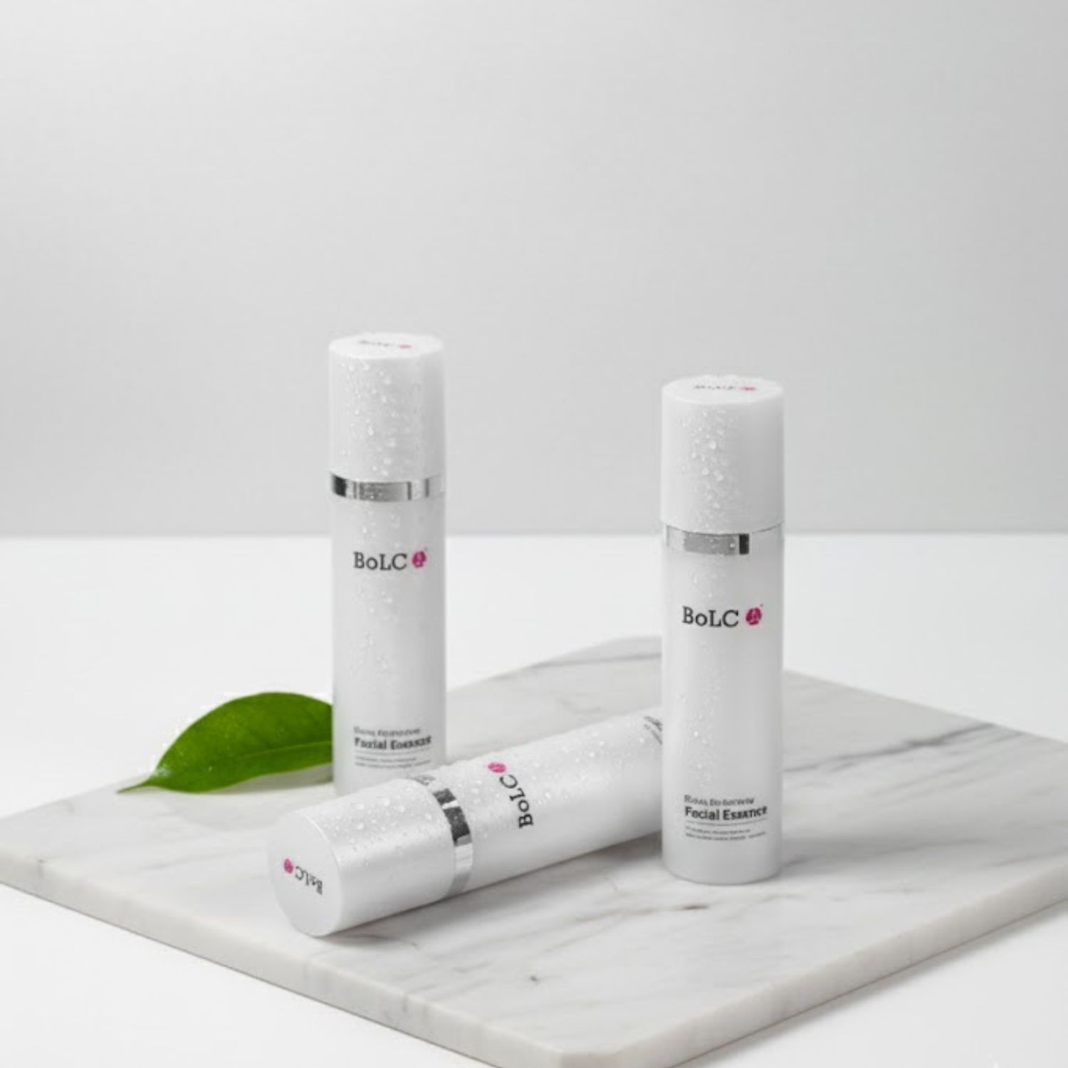 BoLCA エッセンス